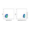 CD45 Mouse mAb