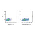 CD45RO Mouse mAb