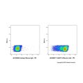 CD6/T12 Mouse mAb