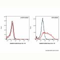 CD62E Mouse mAb