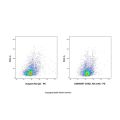 CD62L Rat mAb