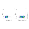 CD7 Mouse mAb