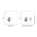 CD8 alpha Rat mAb