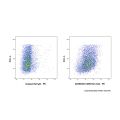 CD86 Rat mAb