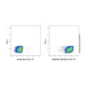 CD99 Mouse mAb