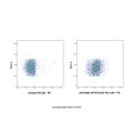 GITR/CD357 Rat mAb