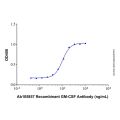Recombinant GM-CSF Antibody