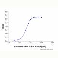 GM-CSF Rat mAb