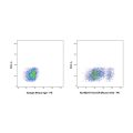 HLA-DR Mouse mAb