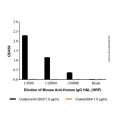 Mouse Anti-Human IgG Antibody
