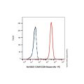 ICAM1/CD54 Mouse mAb