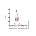 CD278/ICOS Armenian Hamster mAb