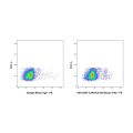 IL3RA/CD123 Mouse mAb