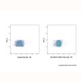 LPAM-1 Rat mAb