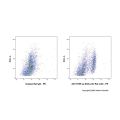 Ly-6G/Ly-6C Rat mAb