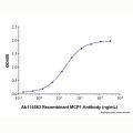 Recombinant MCP1 Antibody