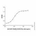 RANKL/CD254 Rat mAb