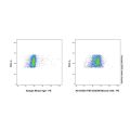 TIM 3/CD366 Mouse mAb
