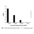Goat Anti-Chicken IgY H&L (HRP)