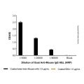 Goat Anti-Mouse IgG H&L (HRP)