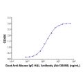 Goat Anti-Mouse IgG H&L Antibody