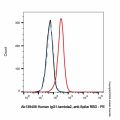 Human IgG1-lambda2, anti-Spike RBD