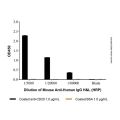 Mouse Anti-Human IgG H&L (HRP)