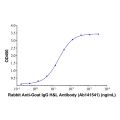 Rabbit Anti-Goat IgG H&L Antibody
