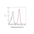 Isatuximab (anti-CD38)