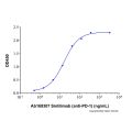 Sintilimab (anti-PD-1)