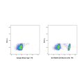 CD4 Mouse mAb