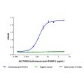 Anifrolumab (anti-IFNAR1)