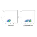 Muromonab (anti-CD3)