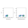 Otelixizumab (anti-CD3)