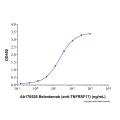 Belantamab (anti-TNFRSF17)