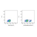 Sotigalimab (anti-CD40)
