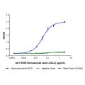 Simtuzumab (anti-LOXL2)