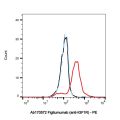 Figitumumab (anti-IGF1R)