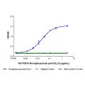 Rovalpituzumab (anti-DLL3)
