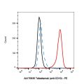 Tafasitamab (anti-CD19)