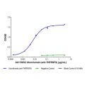 Utomilumab (anti-TNFRSF9)