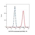 Lorvotuzumab (anti-CD56)