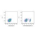 Tregalizumab (anti-CD4)