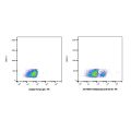 Inebilizumab (anti-CD19)