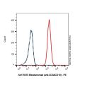 Blinatumomab (anti-CD3&CD19)