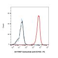 Carotuximab (anti-CD105)