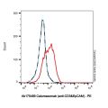 Catumaxomab (anti-CD3&EpCAM)