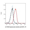 Depatuxizumab mafodotin (anti-EGFR)