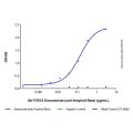 Donanemab (anti-Amyloid Beta)