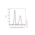 Epcoritamab (anti-CD3&CD20)